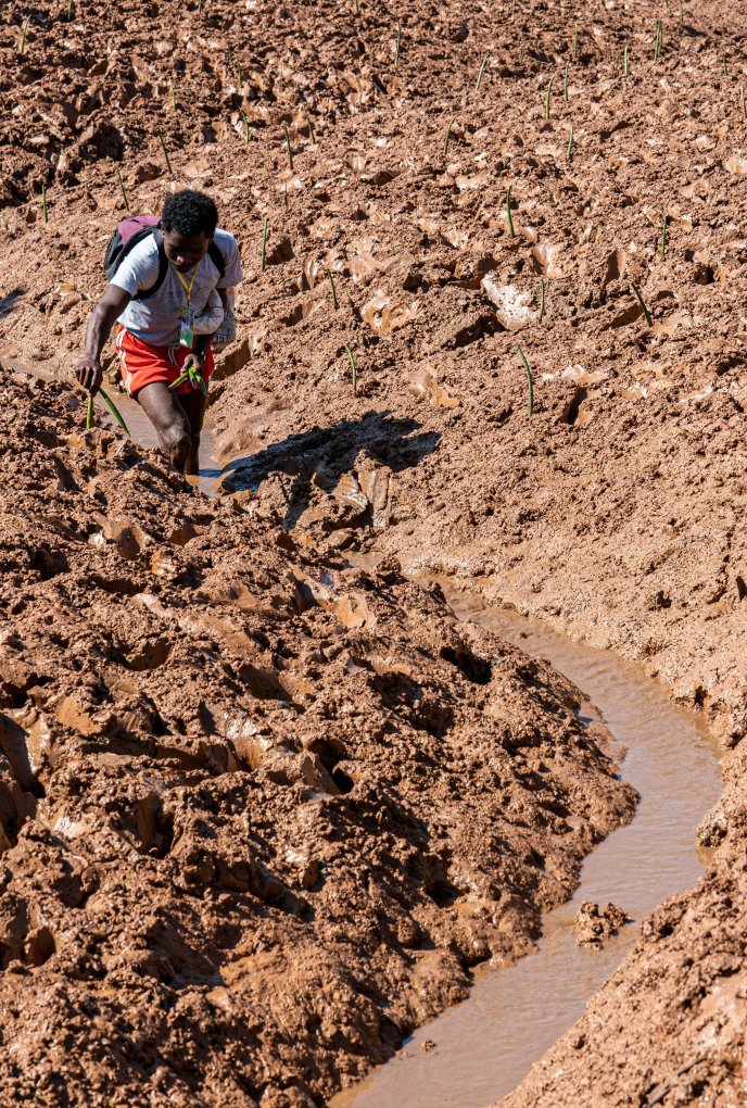 Woman planting trees in Madagascar 