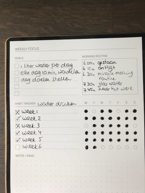 bambook habit tracker