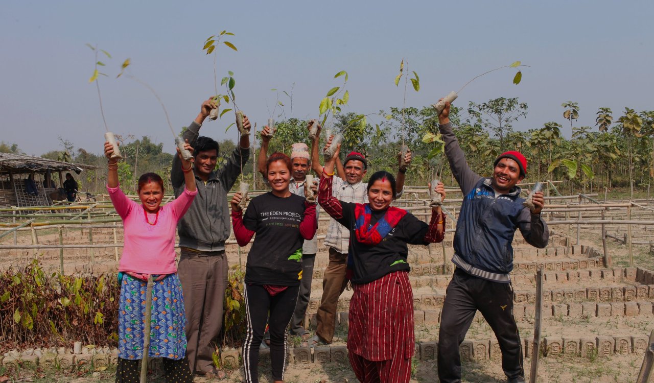 1 million trees celebration 