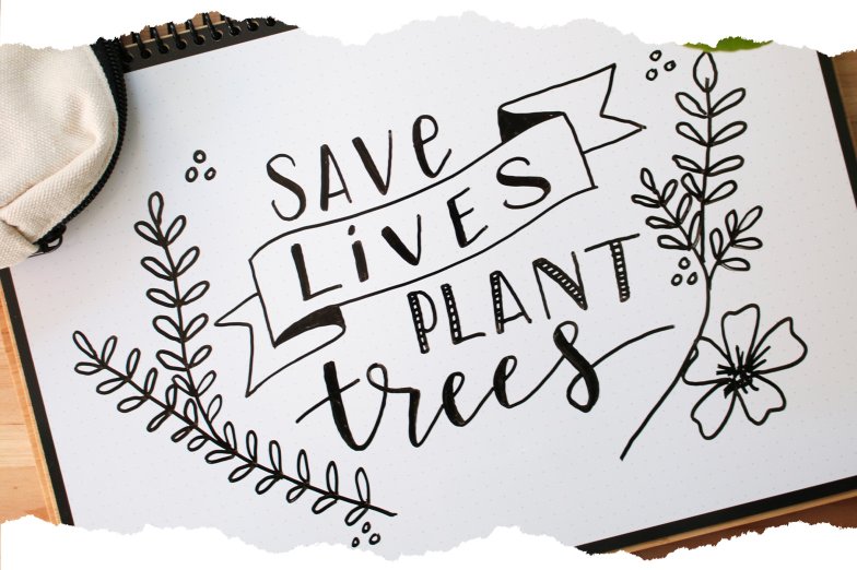 Save lives plant trees Bambook