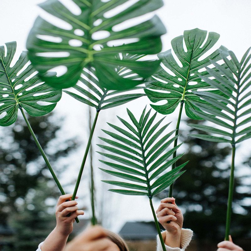 Join the Green Friday Movement!