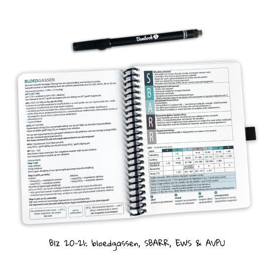 Bambook Esculaap notitieboek voor verpleegkundigen