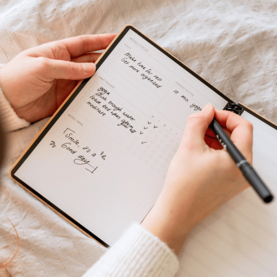 Bambook Do-Book Bundel