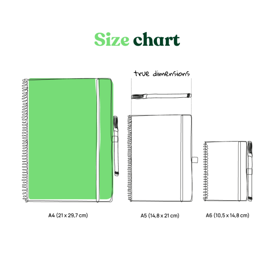 Bambook size chart