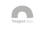 Dag van de Leidster