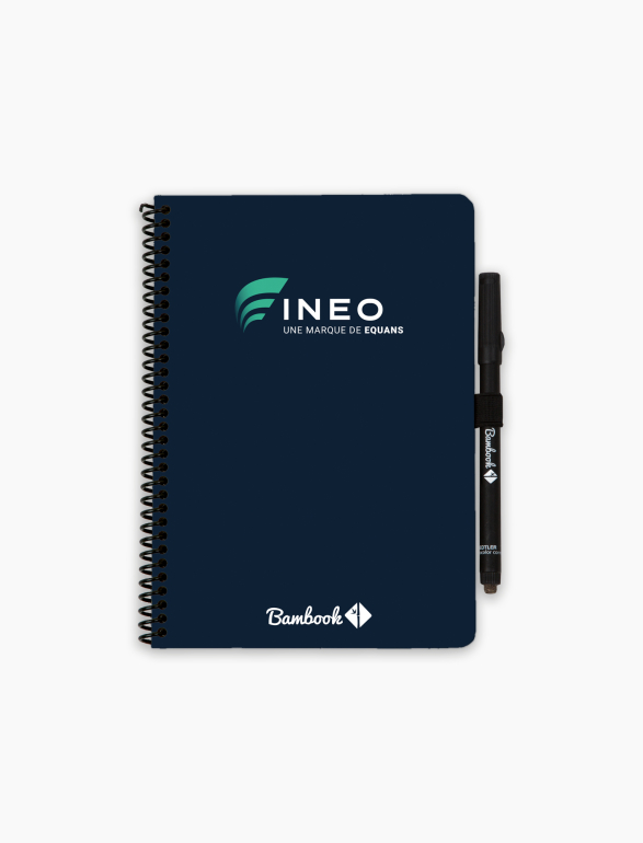 INEO