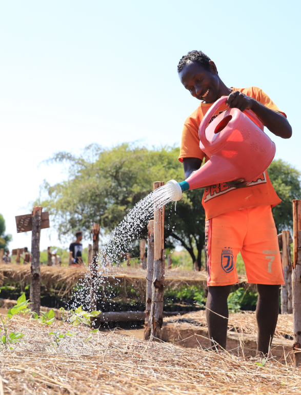 Madagascar tree planting