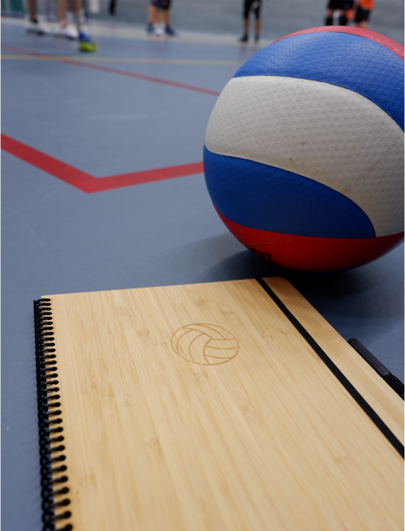 Volleyball