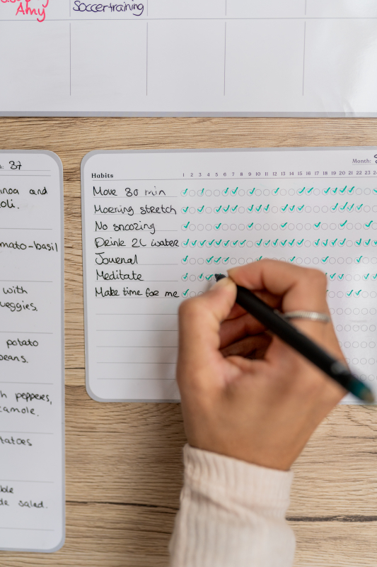 Bambook sticky whiteboard habit tracker month