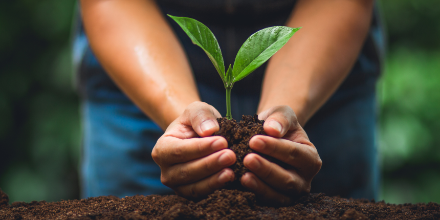 Planten